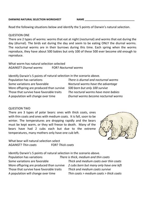 darwin's natural selection worksheet answers polar bears